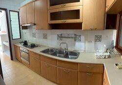 Tanah Merah Green (D16), Terrace #565714201